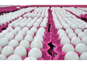 Yumurtada toptan satışta KDV indirimi sevindirdi