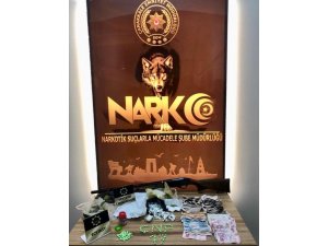 Çanakkale’de uyuşturucu operasyonu: 19 gözaltı