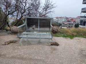 Erdek’te fırtına ağaçları kırdı, otobüs duraklarını devirdi