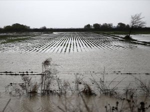 Mersin ve Antalya'da sağanak nedeniyle tarım arazileri sular altında kaldı
