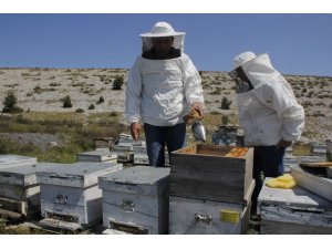 Bal ormanı, Urlalı girişimci kadınlara gelir kapısı olacak