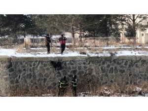 Kars Çayı’nda mahsur kalan köpek kurtarıldı
