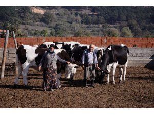 Orman köylüsüne 5 milyon 600 bin lira destek