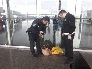 Otogarlarda güven denetimi