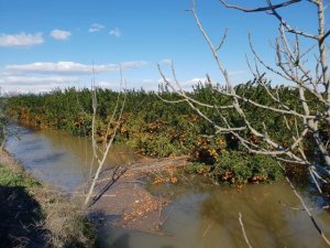 Tarım arazileri felaketin eşiğinden döndü