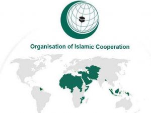 İİT ile Teröre Karşı İslam İttifakı, "terörle mücadele" anlaşması imzaladı