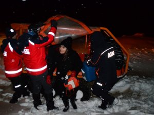 Yavru ayılara yem bırakmaya gittiler, 8 saat mahsur kaldılar
