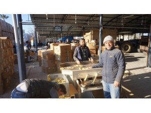 Sarıgöl’de tütün alımları başladı