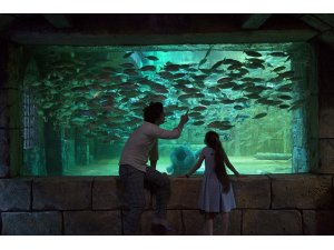 Çocuklara aslanlı ve akvaryumlu yarıyıl hediyesi