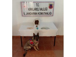 Kırklareli’de uyuşturucu operasyonunda 5 gözaltı