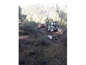 Burhaniye’de söndürülmeden bırakılan avcı ateşi ormanı yaktı