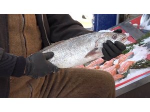 Padişahların vazgeçilmezi, denizlerin kraliçesi lüferin kilosu 120 lira