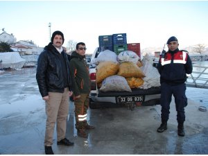 Eğirdir’de kaçak avlanan 700 kilogram kerevit göle bırakıldı
