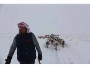 Gürpınar’da tipide mahsur kalan 2 çoban ve koyun sürüsü belediye ekipleri tarafından kurtarıldı