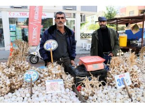 Sarımsak halde 35, pazarda 80 lira