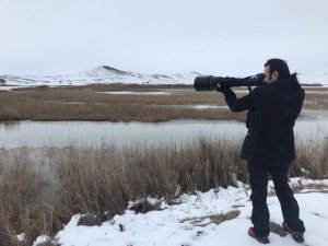 Sivas'ta kuş sayımı yapıldı