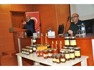 Prof. Dr. Halil Yeninar; “Bal ısındığı zaman ölür, şeker şurubu olur”