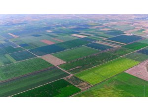 ’TARSİM’ kapsamında çiftçiye 13,5 milyon TL devlet desteği