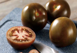 Kahverengi domates Türkiye'de