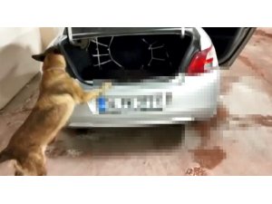 Otomobilden 16 kilo uyuşturucu çıktı