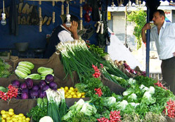 Sağlıklı beslenme nasıl olmalı?