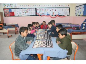 Şampiyon kardeşler madalyaya doymuyor