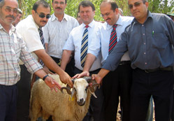 Sosyal Yardımlaşma'dan destek