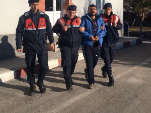 10 yıl 5 ay hapis cezası bulunan şahıs jandarma ekiplerince yakalandı