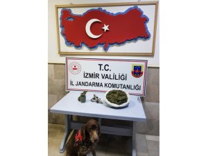 Saklanan uyuşturucuları narkotik köpeği ‘Varlı’ buldu