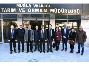 Muğla’da meralarda hayvan otlatma ücretleri düşürüldü