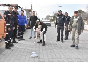 Köyceğiz’de kaybolan İngiliz aranıyor