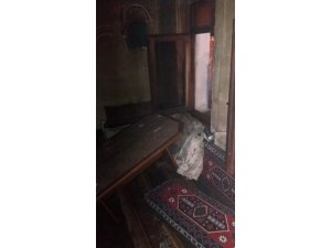 Taşkınpaşa köyünde soba yangına neden oldu