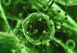 Virüsler insanı nasıl etkiler?