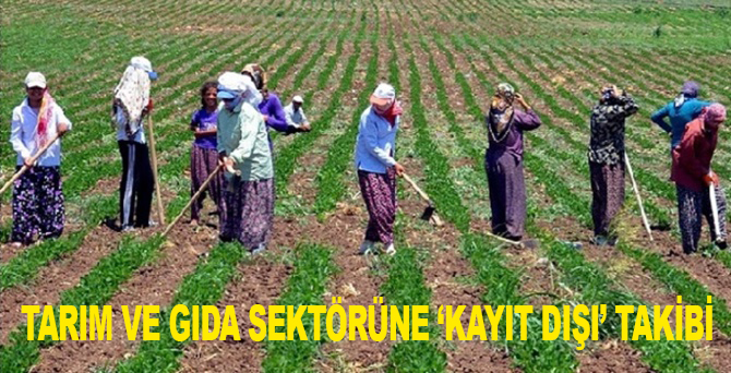 Tarım ve gıda sektörüne 'kayıt dışı' takibi