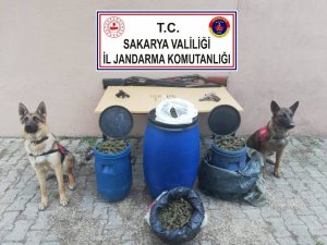 Sakarya’da 11 kilogram esrar ele geçirildi: 1 gözaltı