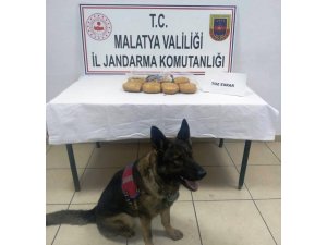 Yolcu otobüsündeki esrarı ‘Kitap’ buldu