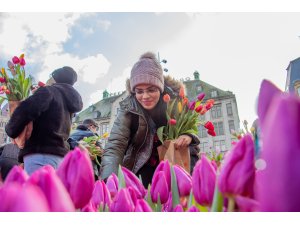 Hollanda'da "Ulusal Lale Günü" etkinliği