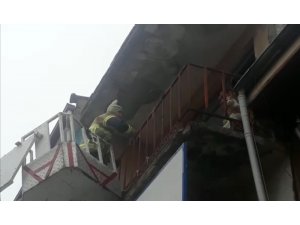 Balkonda mahsur kalan kediyi itfaiye kurtardı