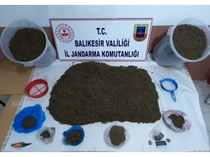 Erdek’te jandarma ormanda uyuşturucu ele geçirdi