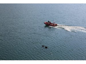 Türkiye’nin dört bir yanından gelen ekipler kayıp Gülistan’ı arıyor