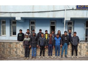 Niğde’de 15 düzensiz göçmen yakalandı