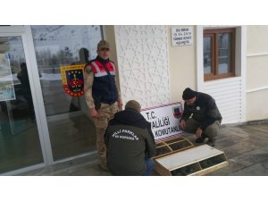 Van’da 75 Common Myna kuşu ele geçirildi