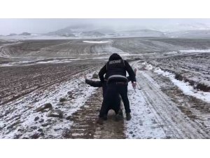 Tarihi eser kaçakçılarını suçüstü operasyon