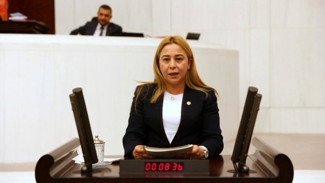 MHP Konya Milletvekili Esin Kaya veteriner hekimlerin istihdamını sordu