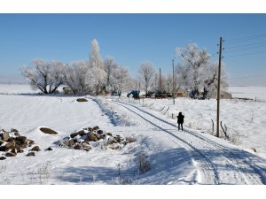 Doğu Anadolu'da soğuk hava etkisini sürdürüyor