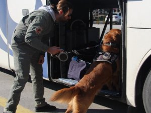 Aydın’da 2458 şok uygulamada 115 bin kişi sorgulandı