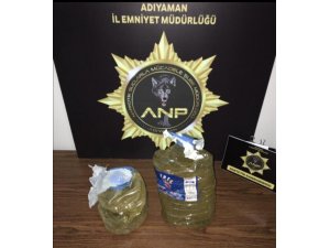 Toprağa gömülü bonzai ele geçirildi