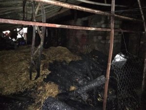 Fethiye’de çıkan yangında ahır ve samanlık kullanılmaz hale geldi