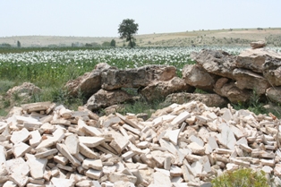 Taşlı tarlayı ıslah etti