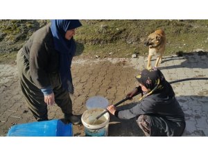 Köyde çıkan yangına kadınlar kovalarla su taşıyarak müdahale etti